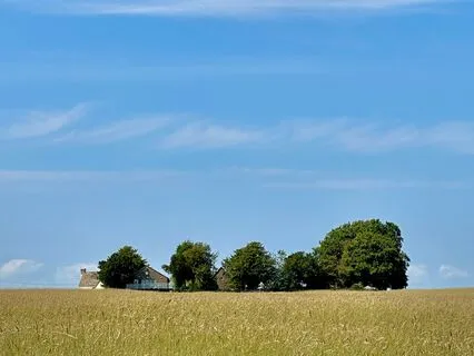 Finding Calm In A Chaotic World