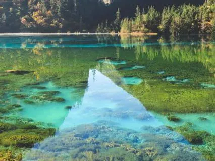 Finding Calm In A Chaotic World