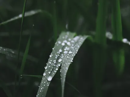 Finding Calm In Acceptance