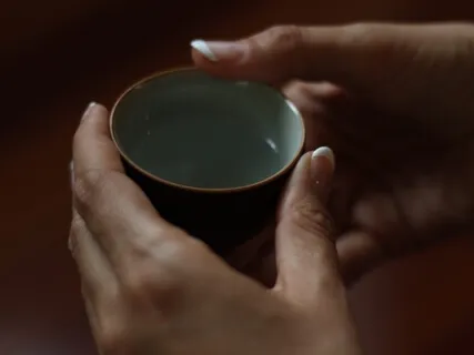 Finding Calm In Chaos