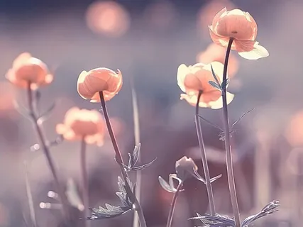 Finding Calm In Chaos