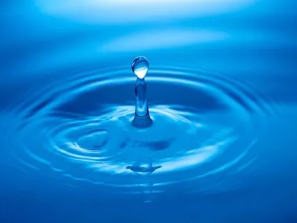 Finding Calm In Overstimulation