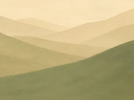 Finding Calm In The Chaos