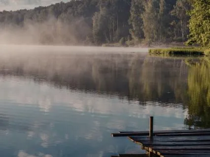 Finding Calm In The Chaos