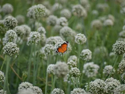 Finding Calm In The Midst Of Grief