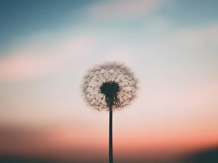 Finding Calm In Uncertainty