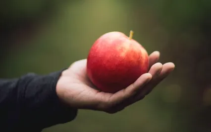 Finding Calm Through The Five Senses