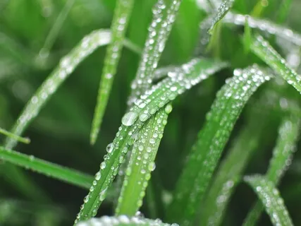 Finding Clarity In Perturbed Times