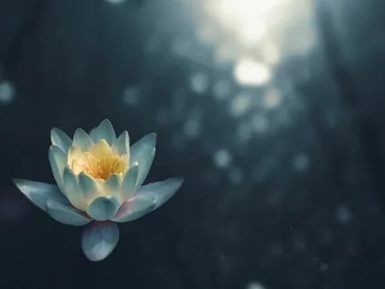 Finding Clarity Morning Meditation