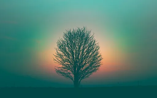 Finding Comfort And Strength When Suffering