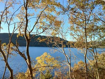 Finding Comfort In Stillness (With Music)