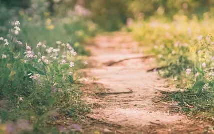 Finding Comfort In The Discomfort