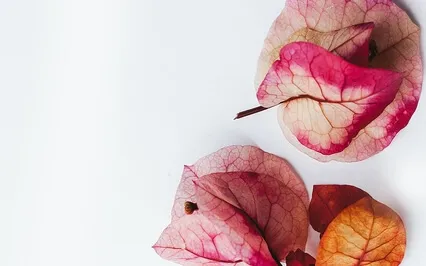 Finding Comfort In Your Breath