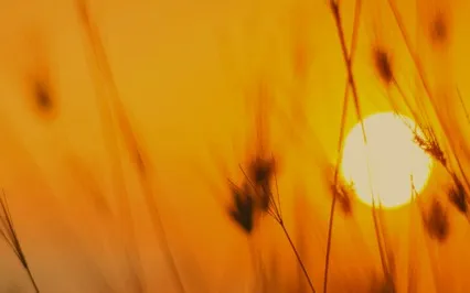 Finding Compassion For Yourself In Still Waters