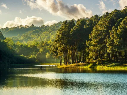 Connecting To The Divine Through Loving Awareness 