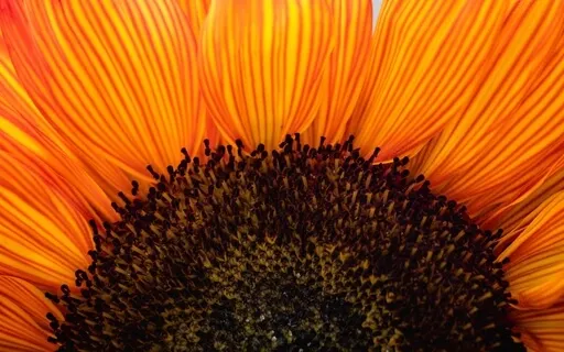 Finding Contentment In The Present & Planning For The Future