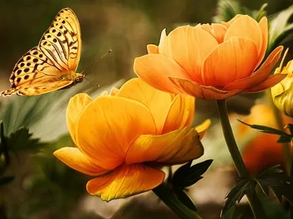 Finding Courage For A New Start - The New Earth