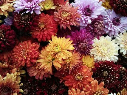 Finding Courage When Criticism Comes - November 26