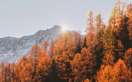 Finding Deep Stillness In Meditation 