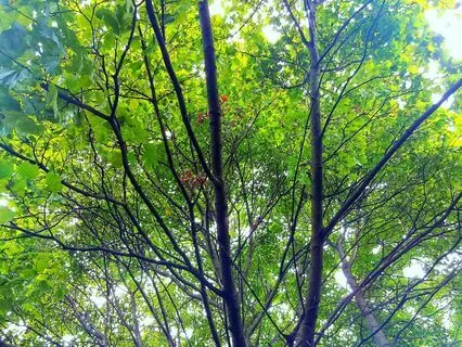 Finding Deeper  Breath