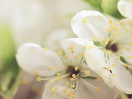 Finding Divine Connection Of The Heart