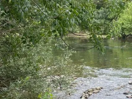 Finding Ease In Overwhelm.