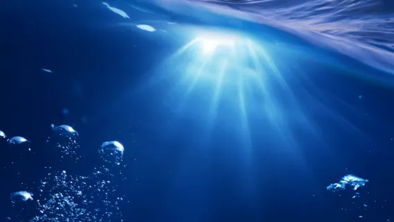 Finding Emotional Freedom - 5-Minute Daily Insight