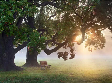 Finding Emotions In The Body