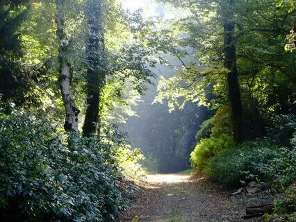 Finding Flow - Relaxation Practice And Journaling Prompt