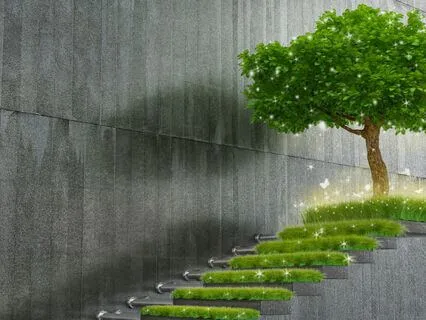 Finding Focus: Productivity, Leadership, And Inner Calm