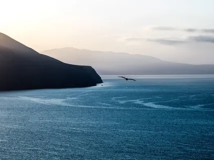 Finding Forgiveness Through Compassion