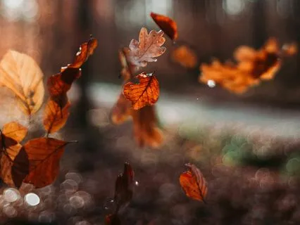 Finding Freedom In Accepting Our Impermanence