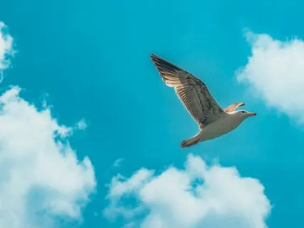 Finding Freedom In Our Fears