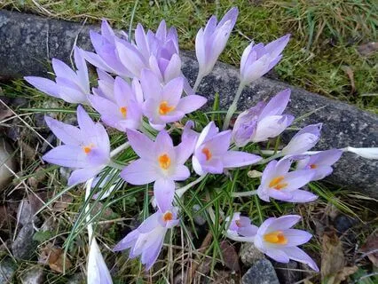 Finding Glimmers In Hard Times (With Music)