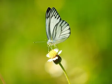 Finding Good In The Small Things