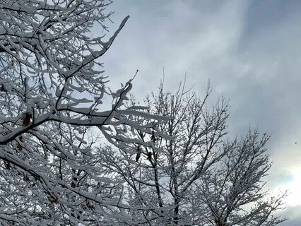 Finding Grace In Grief