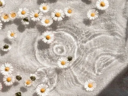 Finding Gratitude And Joy