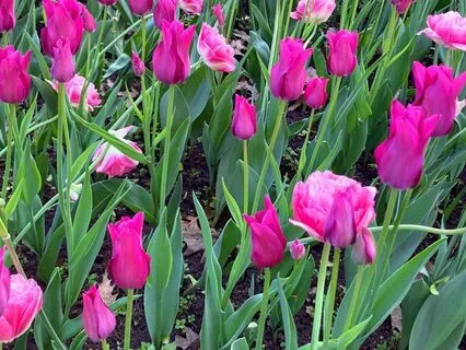 Finding Greater Awareness