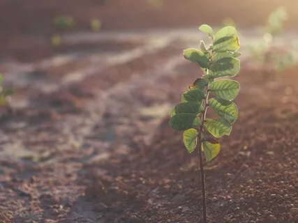 Finding Ground Practice