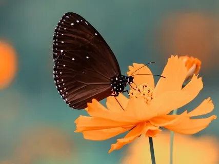 Finding Happiness When Life Is Tough