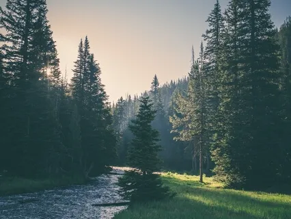 Finding Harmony & Balance