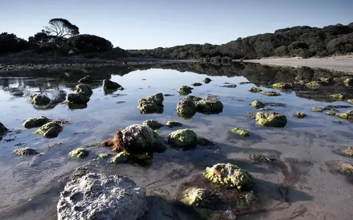 Finding Healing Where You Are