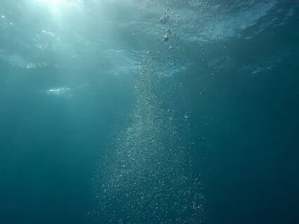 Finding Inner Calm: 5-Min Breath Awareness Meditation