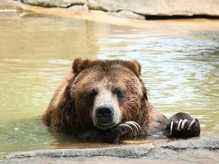 Finding Inner Calm During Stressful Times