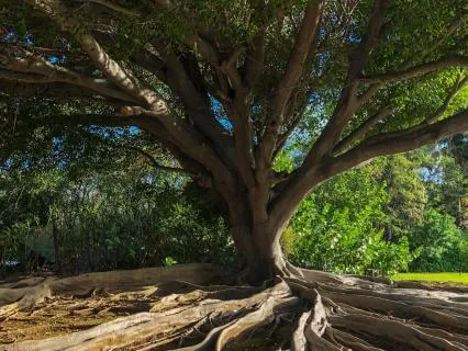 Finding Inner Ground You Can Return To