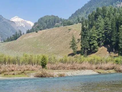 Finding Inner Peace Amidst External Turmoil