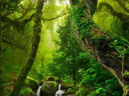 Finding Inner Peace & Clarity | Overcoming Stress & Doubt