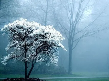 Finding Inner Peace | Spiritual Talk & Exercise