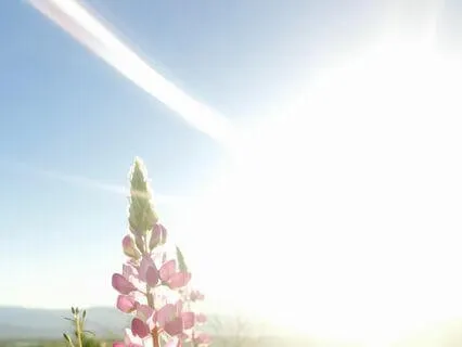 Finding Inner Stability Within