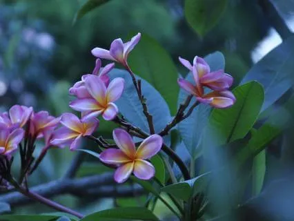 Finding Inner Stillness